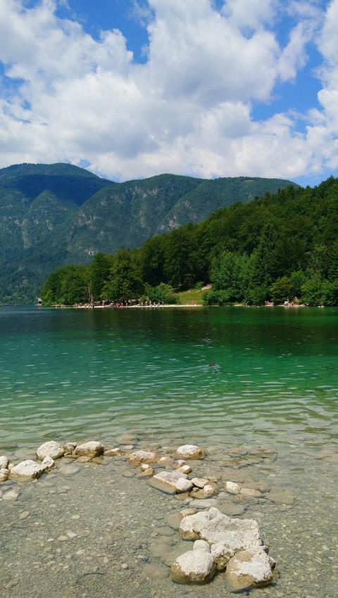 Bohinj