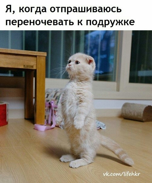 о да