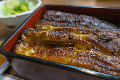 鰻