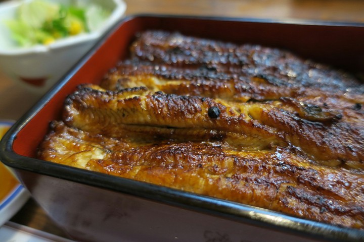 鰻