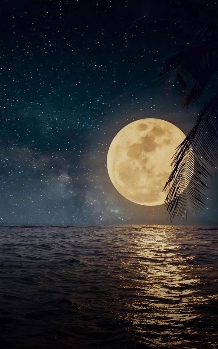 beauty of night