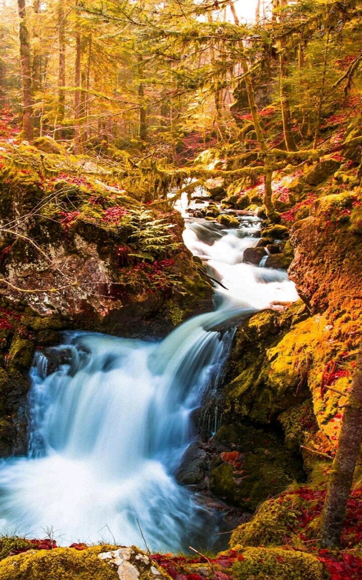 Nature