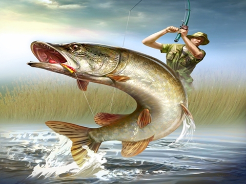 ταπετσαρίες lunge, trout