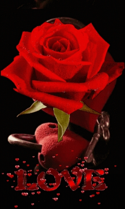 four you my dear friends.