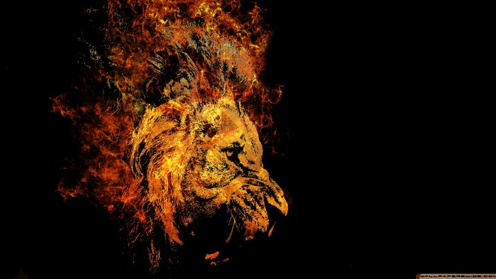 lion fire effect