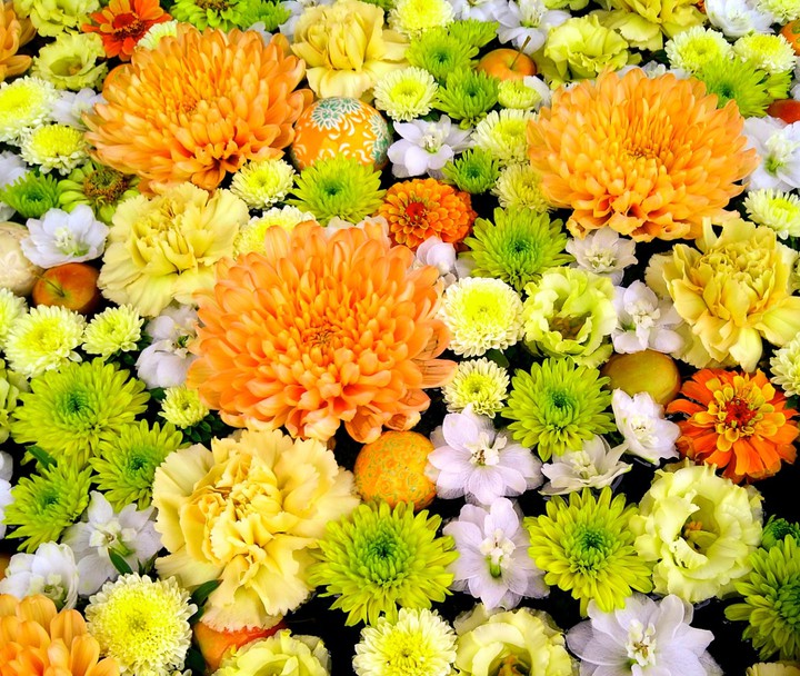 flowers floating on the water