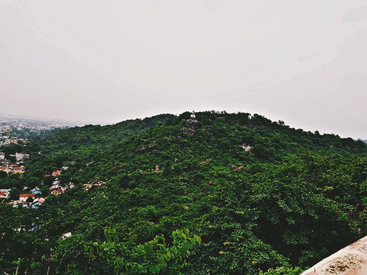 madiya