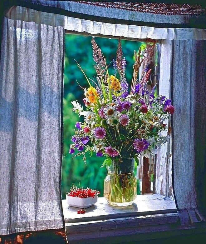 morning window