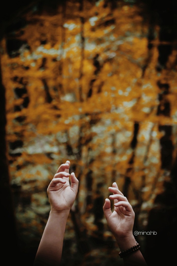 autumn