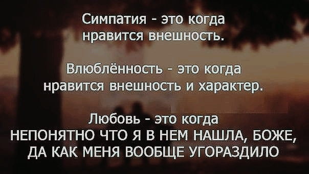 цытаты❤️