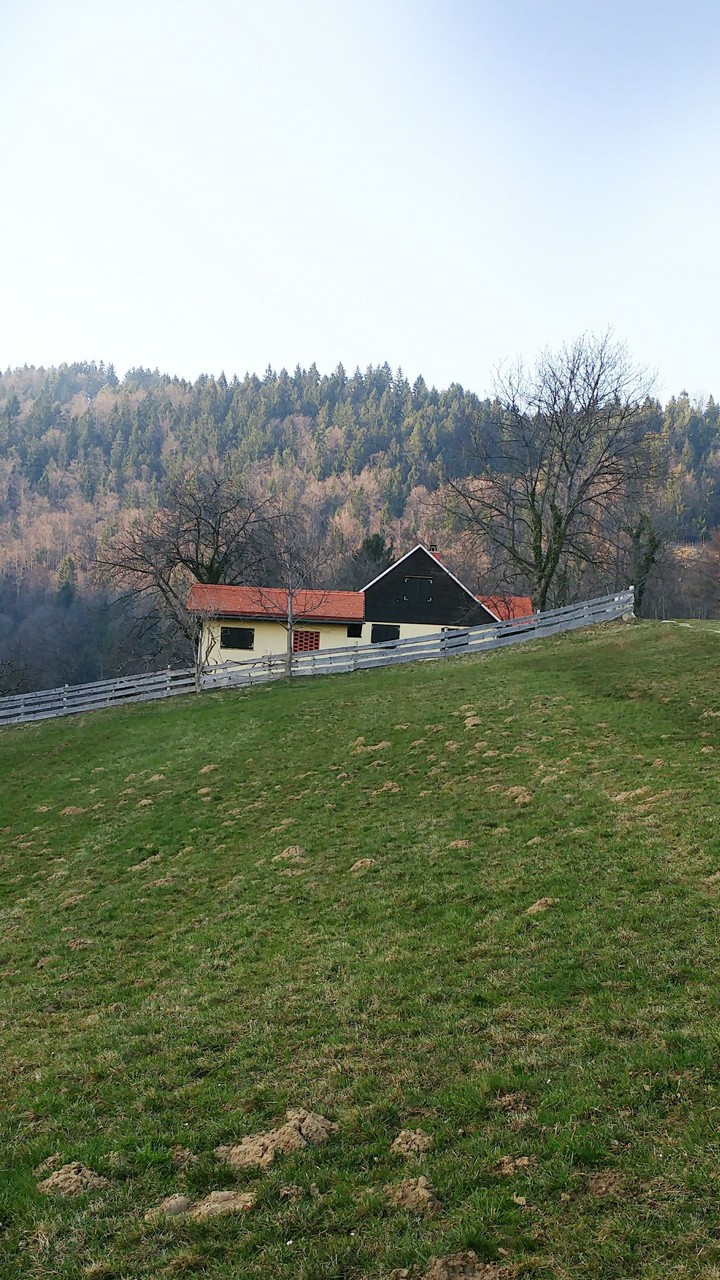Lonely House