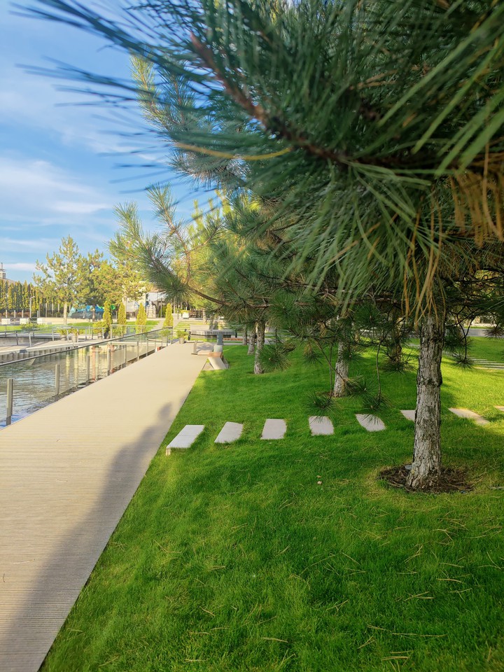 park