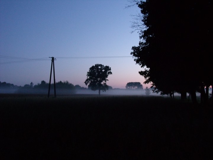 Fog