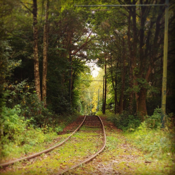 green tunel