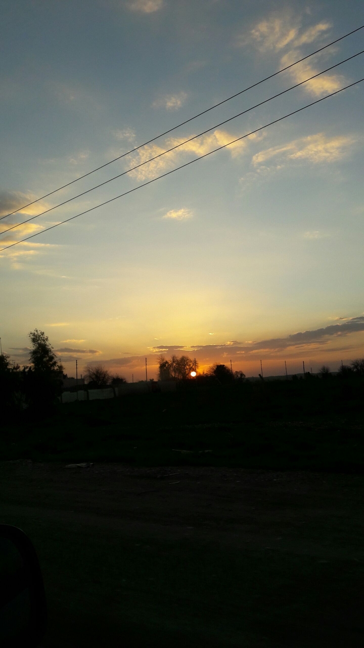 dawn