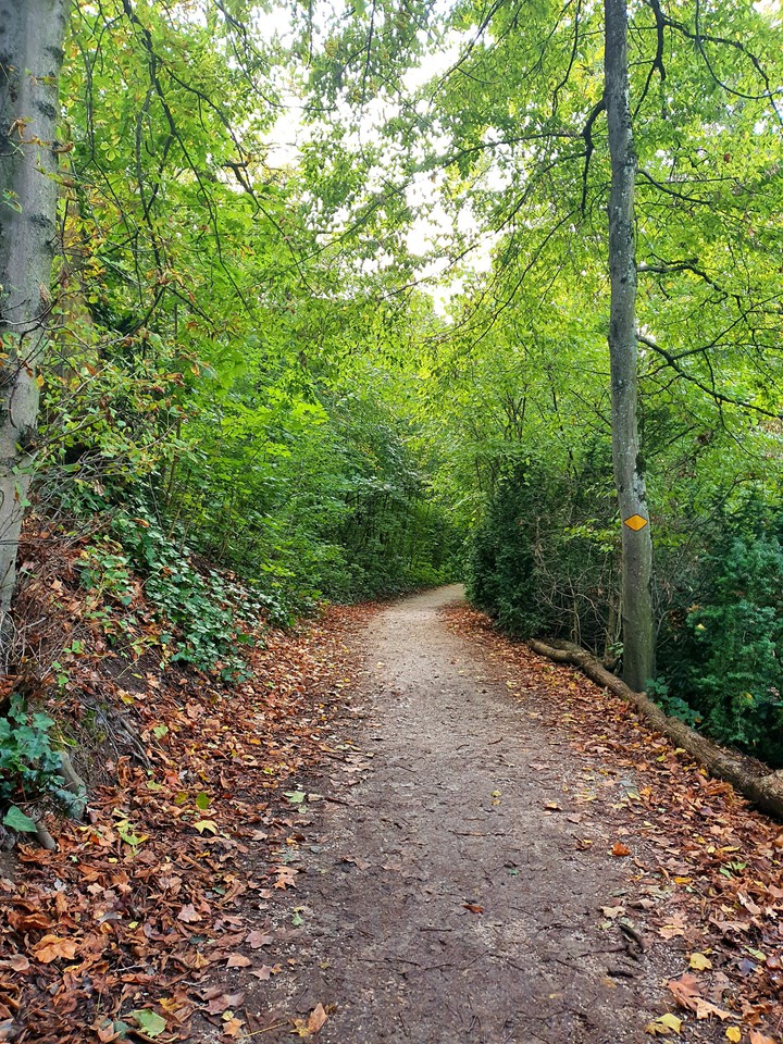 Road