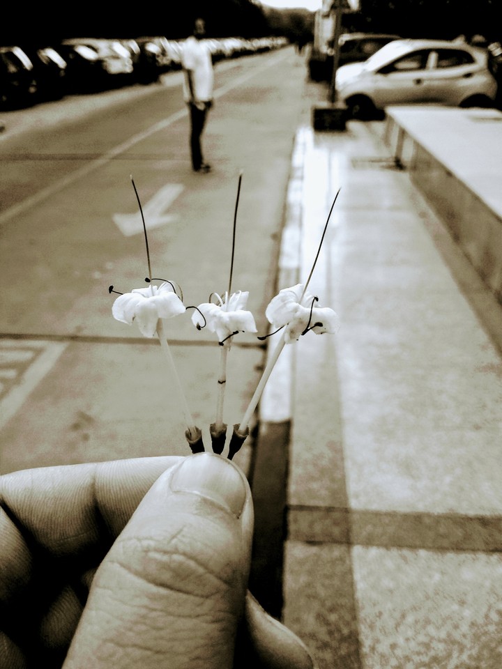 Flowers bring Smiles back!
