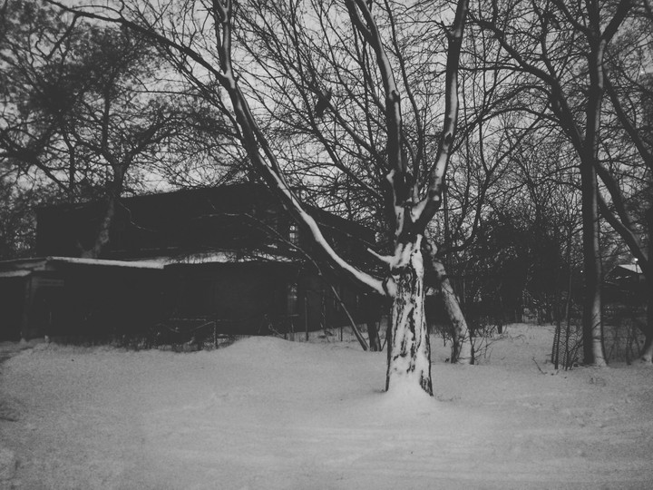 winter