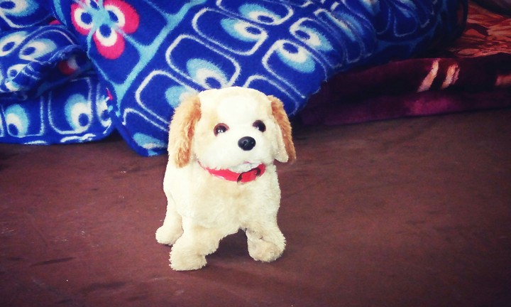 Cute Puppy Toy