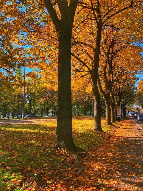 Aria di autunno