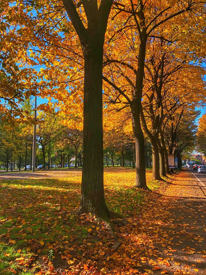 Aria di autunno