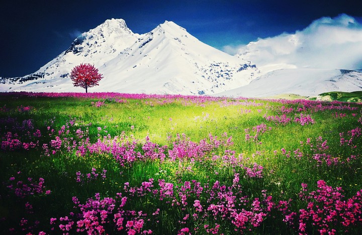 Snow Mountain