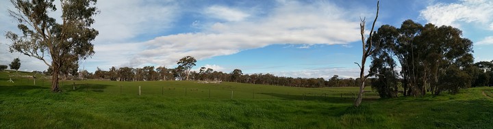 Country side