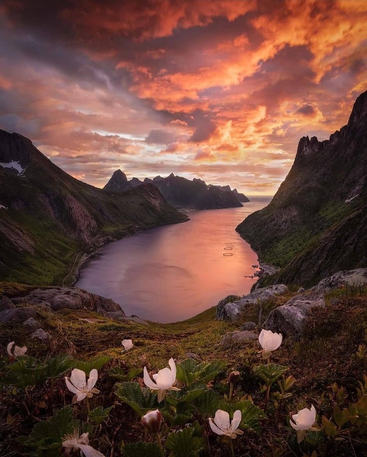 beautiful nature...
