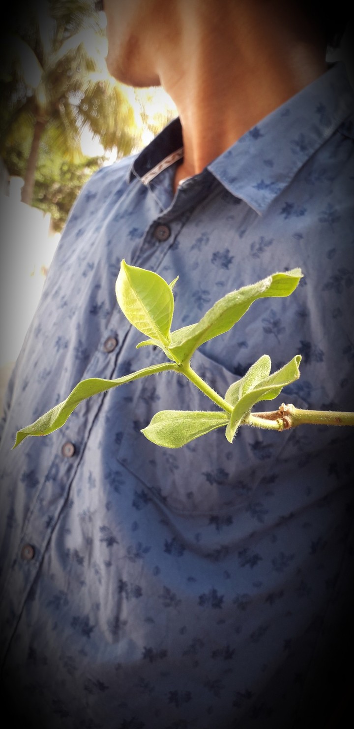 my click