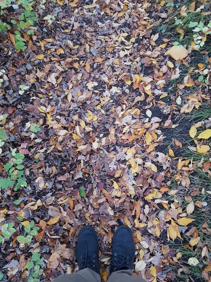 Leaves and Boots