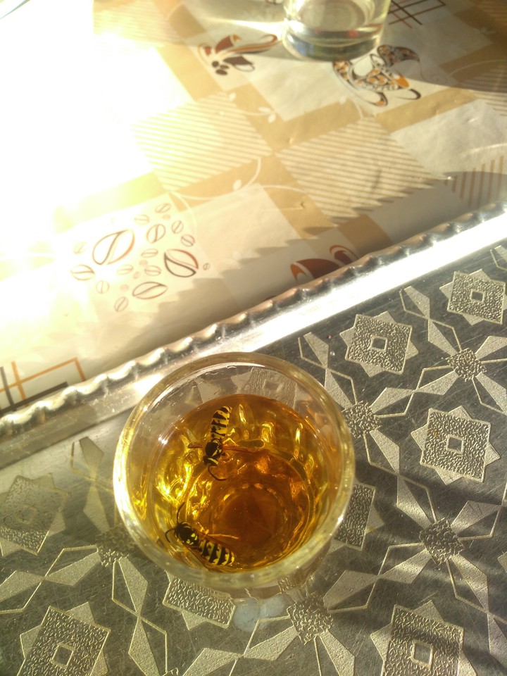 Bathing in golden sunsine