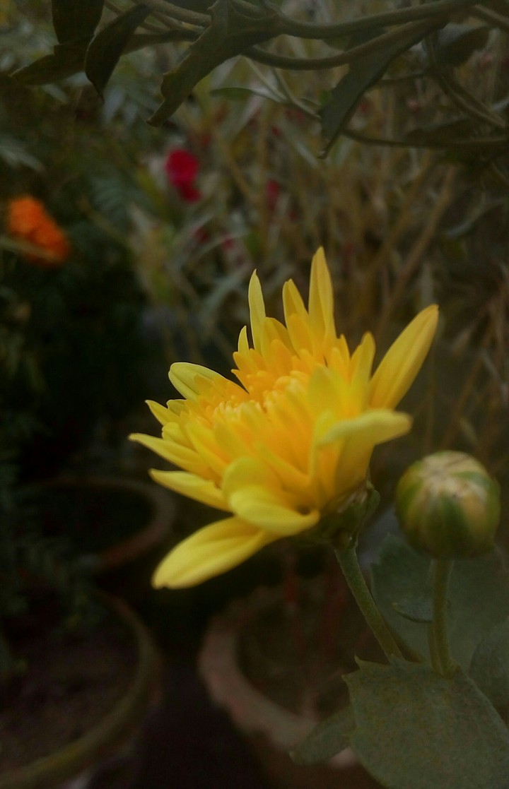Just capture by me