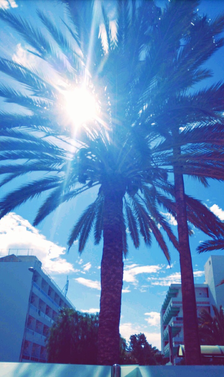 vacation