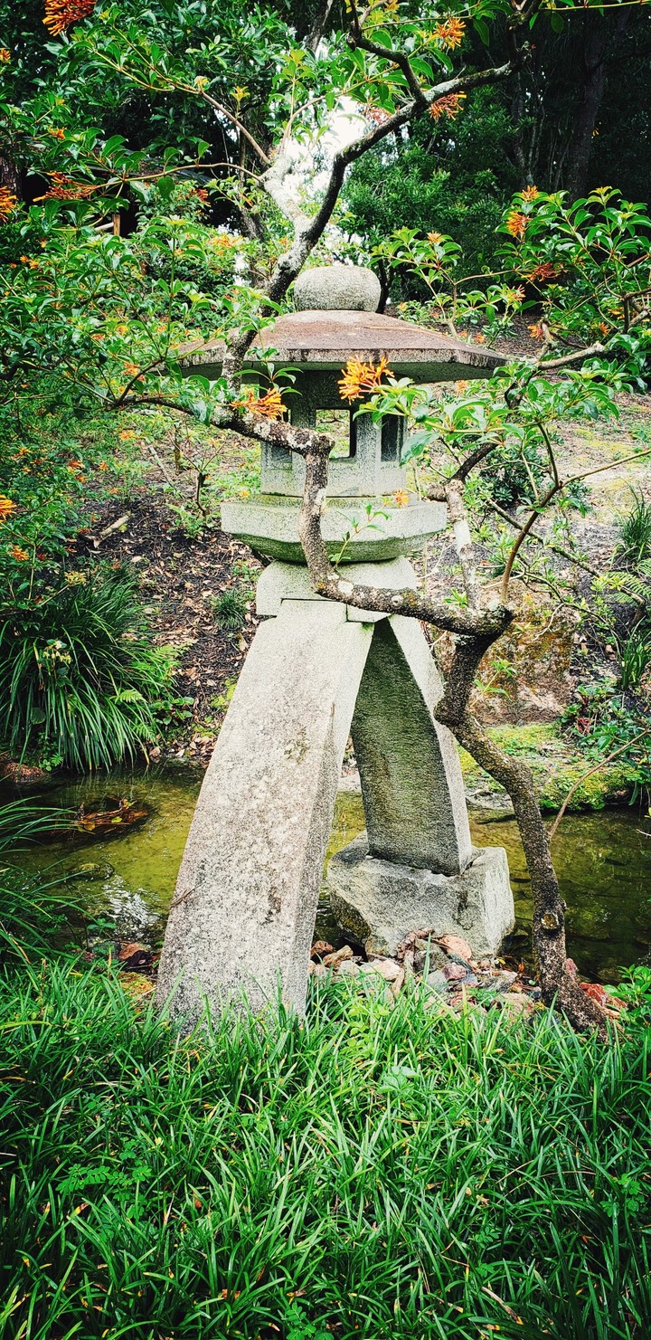 Japanese gardens
