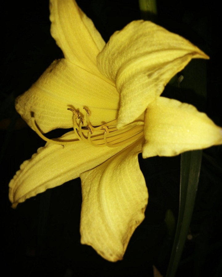 "beauty"when night meet with nature