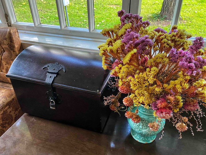 dried flowers