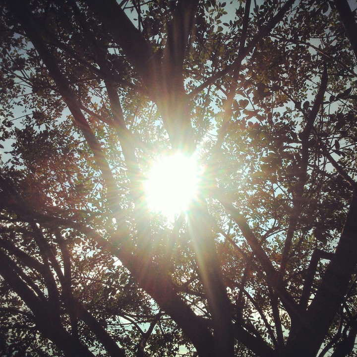 luz do dia