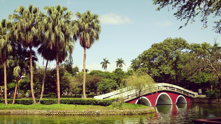 bridge and lake