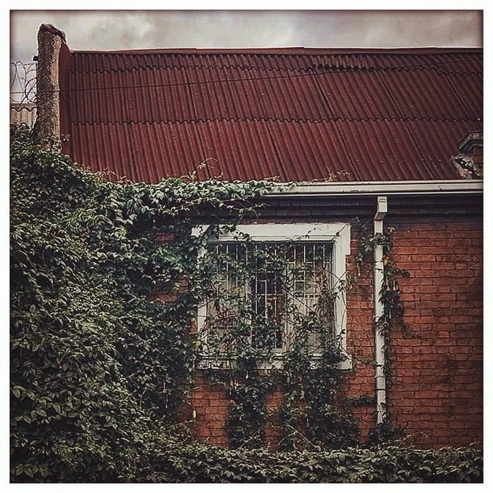 Ventana verde