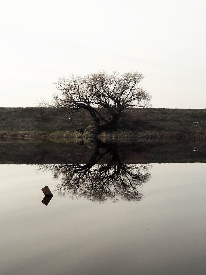 mirror