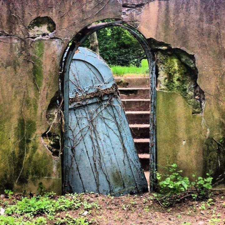 Door