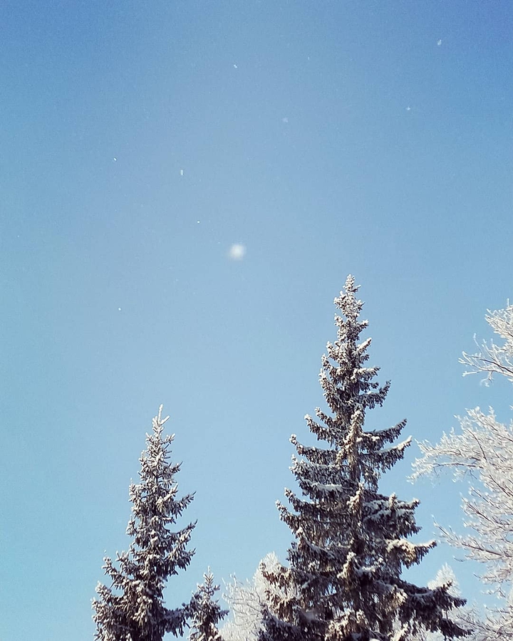 Snow Winter