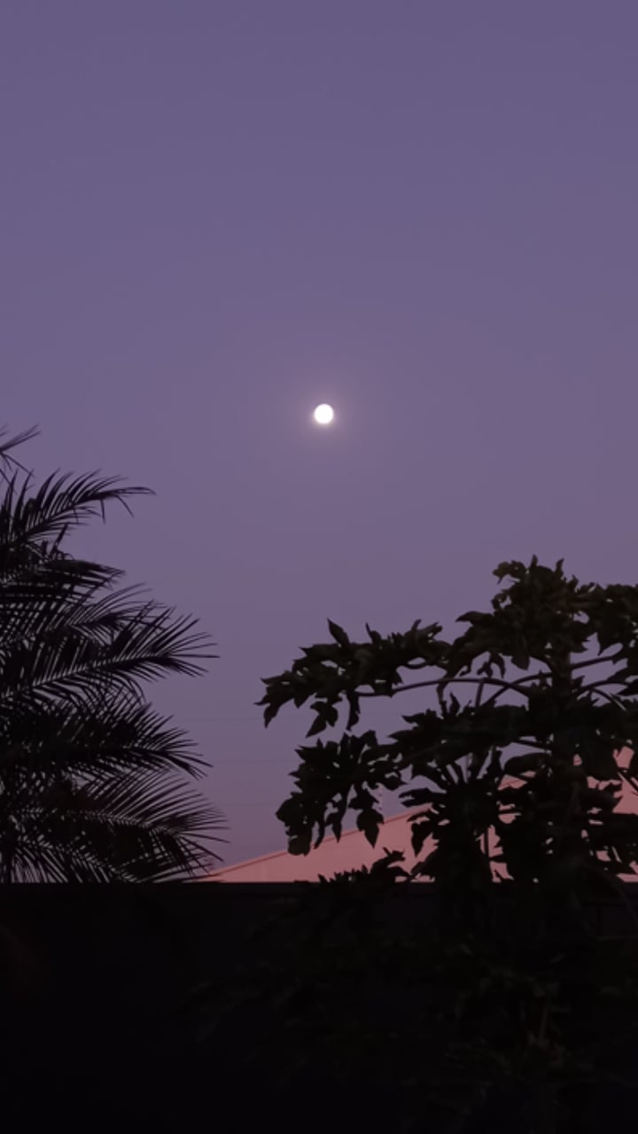 vista