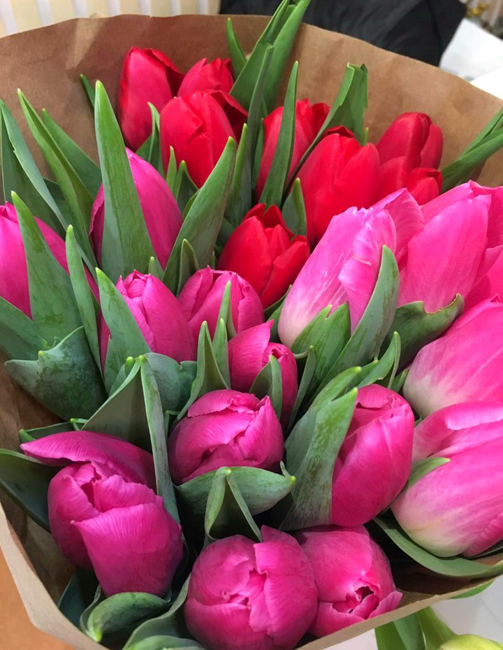 happy women's day!