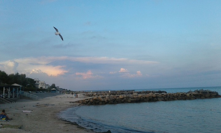 The sea