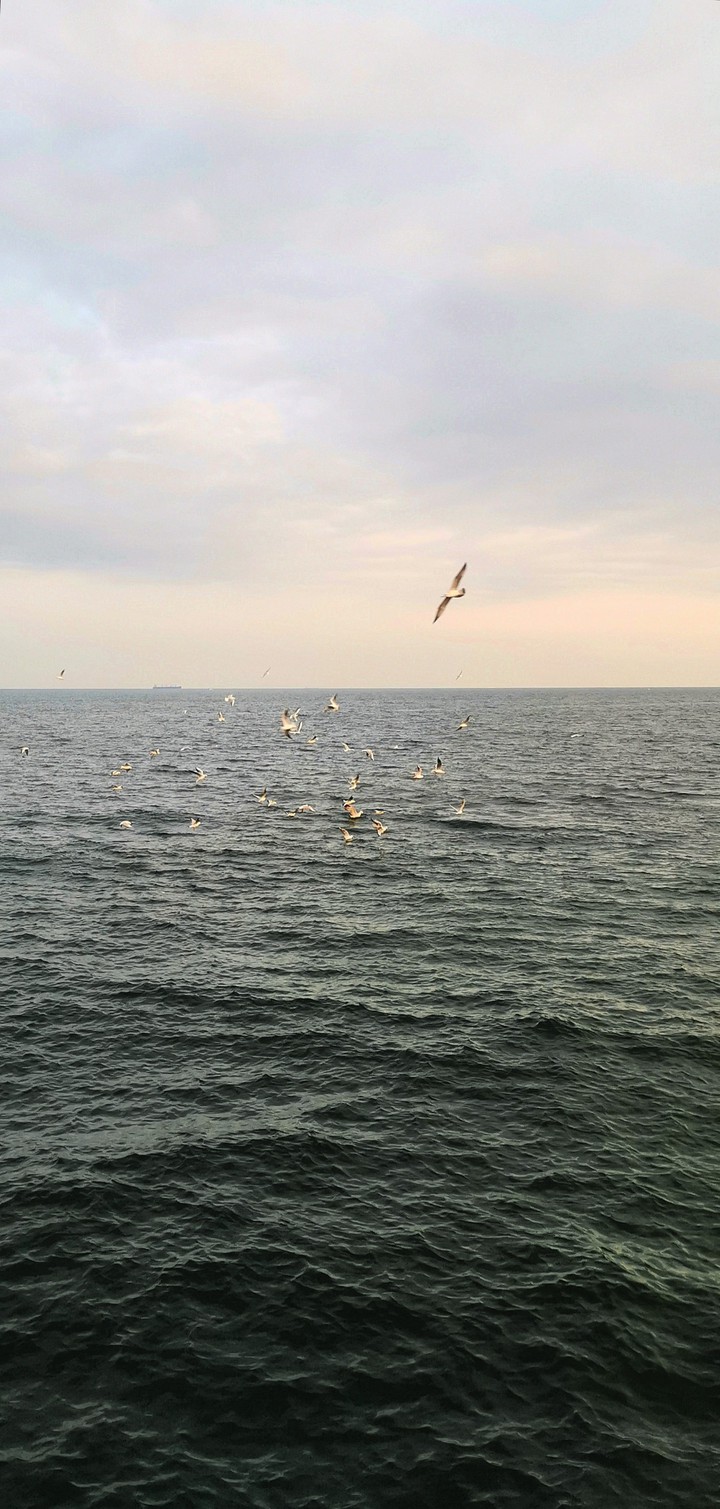The Black sea