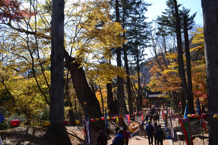 산이미지