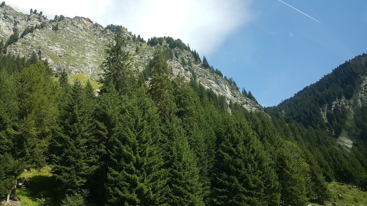 Mountinworld