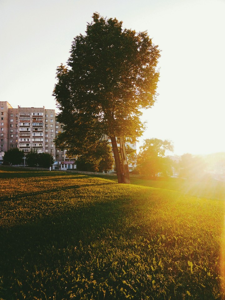 Лучи
