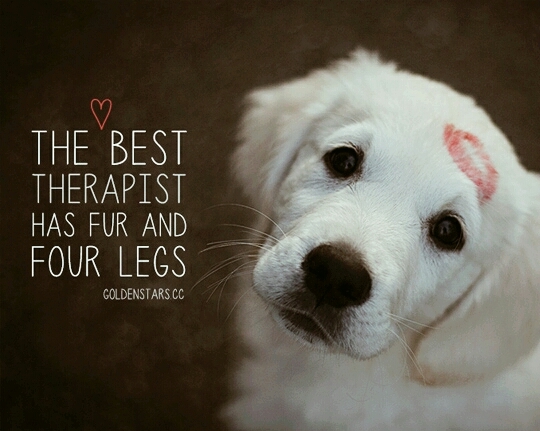 I love Dogs what about you.